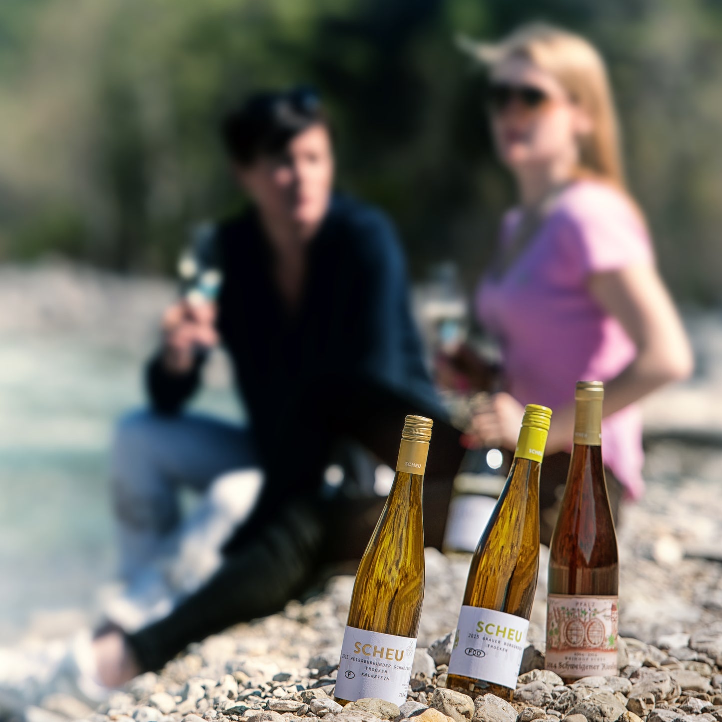 Gutsweine 2024 Weinpaket 12 Flaschen