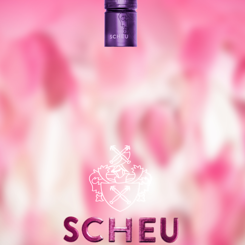 Sommer Weinpaket